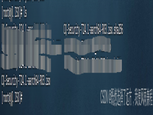 测试某操作系统通过dd和UltraISO两种方式安装服务器（ARM）_您选择了一个isohybrid镜像文件,强制以dd模式写入