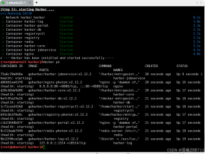 Linux云计算SRE-第十五周_sre-linux云计算运维学习资料