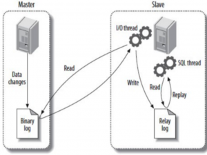 【MySQL】MySQL 缓存方案