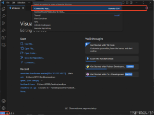 在 VSCode 中配置远程开发环境查看和调试Python代码_vscode远程开发python