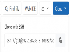 如何使用Git更新GitLab/Gitee上的代码？_gitlab怎么更新代码