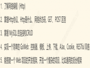 GoWeb开发_go开发web项目