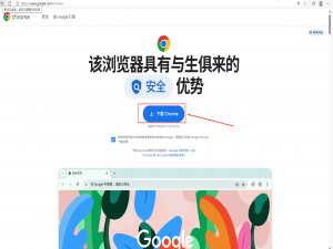 对selenium进行浏览器和驱动进行配置Windows | Linux_chrome版本138.0.7204.96对应selenium版本多少
