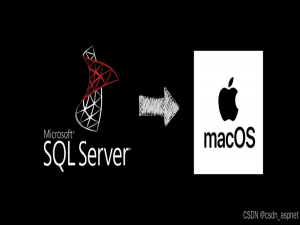 如何在 MacOS 上安装 SQL Server_mac安装sqlserver