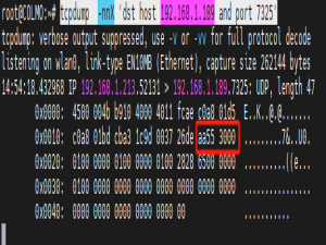 Linux tcpdump 抓取udp 报文