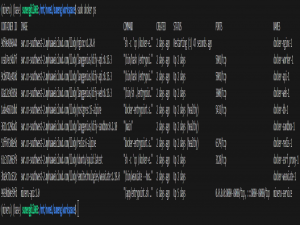 部署mineru docker流程以及踩的坑_mineru docker部署