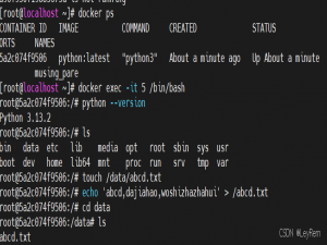 【Docker】通过 Docker 拉取 Python 镜像并设置远程连接（SSH）_docker拉取python镜像