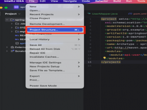 IntelliJ IDEA (2024.3.1)优雅导入 Maven 项目的两种方式详解