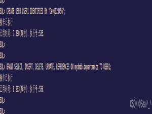 DM8数据库对象权限管理：从授权到安全回收_dm 采集元数据 授权列表