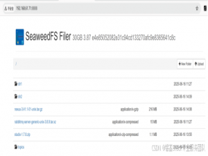 SeaweedFS 全解析：从入门到集群部署，横向对比与核心原理一网打尽（下）