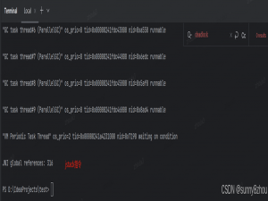 jvm冷门知识十讲