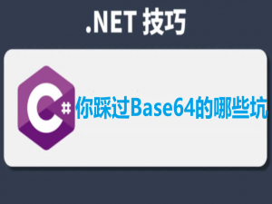 在 .NET 中使用 Base64 时容易踩的坑总结