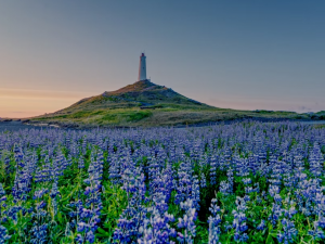 win11平台上mysql 数据库迁移