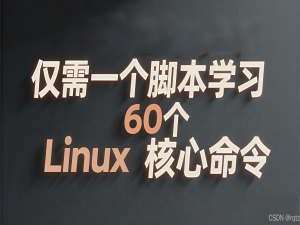 【Linux】运维开发必备:仅需一个脚本学习60个Linux核心命令