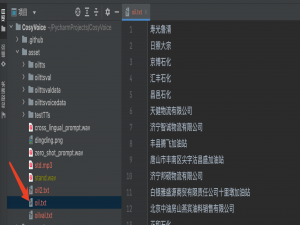 SenSeVoice模型微调记录，语音识别垂直领域术语准确率提升至99%