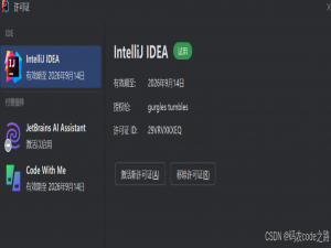 2024年ide系列激活_idea2024.3永久激活