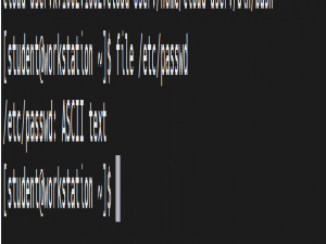 Linux复习之访问命令行