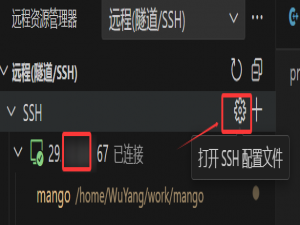 vscode 登录ssh记住密码直接登录设置