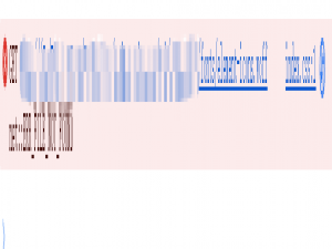 【element-ui】HTML引入本地文件出现font找不到/fonts/element-icons.woff