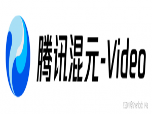 Hunyuan-video：混元视频生成模型，开源最强视频生成模型（包含论文代码详解）_hunyuanvideo