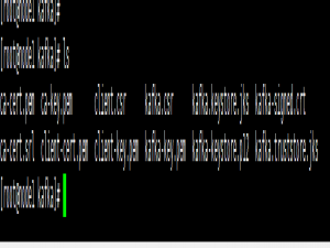 k8s 配置 Kafka SASL_SSL双重认证_kafka sasl配置