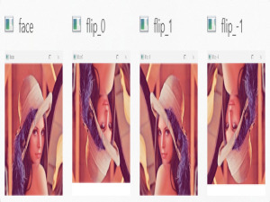 OpenCV 图像变换全解析：从镜像翻转到仿射变换的实践指南