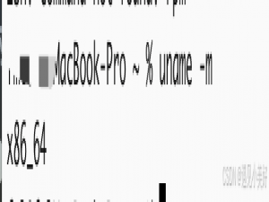 如何查看Mac的处理器架构‌‌是ARM还是x86_macx86和arm区别