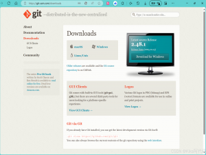 【已解决】（2025新） Git 下载安装配置 图文超详细教程 手把手教你 小白_git下载安装配置
