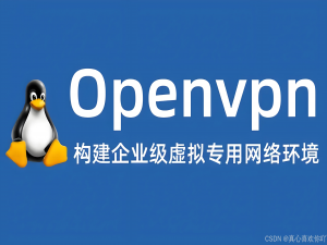 VPN搭建秘籍：Ubuntu 22.04系统下OpenVPN服务器的完整配置流程
