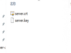 Nginx + PM2 实现Express API + React 前端 本地测试服务器搭建