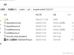 信创云国产化系列 SprgingBoot内置tomcat替换成东方通Tongweb_信创tomcat 替换方案 免费
