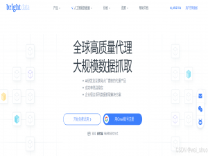 亮数据与AI深度融合，开发者高效采集数据的最优解_菲亚兰德ai数据采集