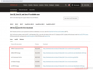 Oracle Java JDK 21 下载地址及安装教程_jdk21下载