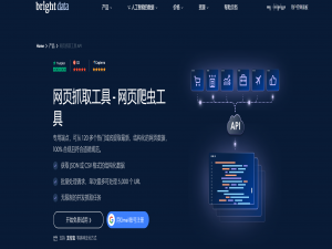 亮数据与 AI 深度集成：构建电商策略自动化系统新范式
