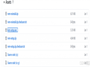 使用 nvm (Node Version Manager) 来管理多个 Node.js 版本，并自由切换