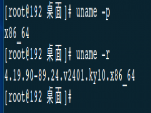 Linux部署.net Core 环境
