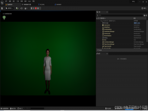AI数字人| Fay开源项目、UE5数字人、本地大模型_fay数字人