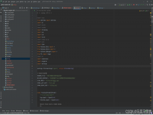 基于多模型AI训练与验证系统开发