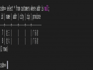 GaussDB null的用法