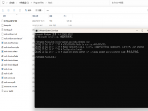 express框架中登录使用redis保存token