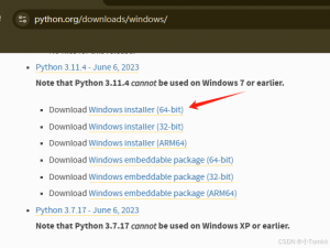 在 Trae CN IDE 中配置 Python 3.11的指南_trae配置python环境