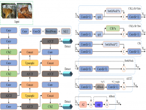 20250331期：YOLOv12算法深度解析（含结构图）