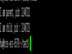 进程调度的艺术：从概念本质到 Linux 内核实现