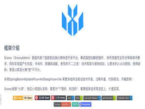 32.5K star 支持国产适配却如此简洁？Snowy——国密加密＋前后端分离，真正的安全高效开发平台_Snowy权限管理系统