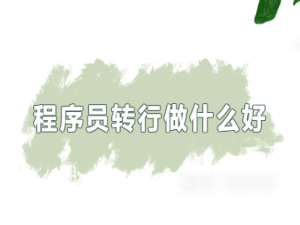 程序员转行做什么好：数据分析师、AI大模型工程师、产品经理和云计算工程师。