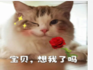 动态规划——线性DP