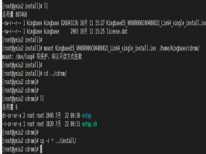 Kingbase&postgis 安装实践