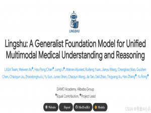 【AI大模型前沿】阿里开源Lingshu：一个模型搞定12种医学影像诊断