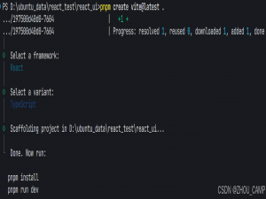 在React 中安装和配置 shadcn/ui_react shadcn-ui