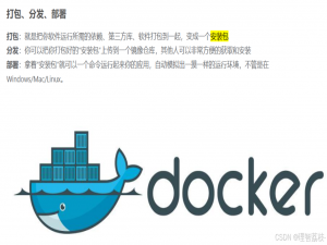 【Linux 篇】Docker 的容器之海与镜像之岛：于 Linux 系统内探索容器化的奇妙航行_容器海